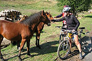 Cycling